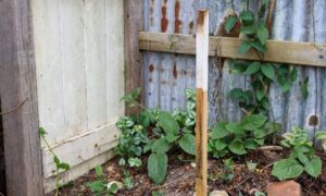 A boundary line survey marker placed next to an existing residential fence to show the true property line