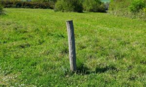 Open field with a wooden stake marking property boundaries before land development planning begins