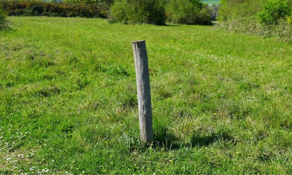Undeveloped land with wooden stake marking property - ALTA SURVEY Fortworth Open field with a wooden stake marking property boundaries before land development planning begins